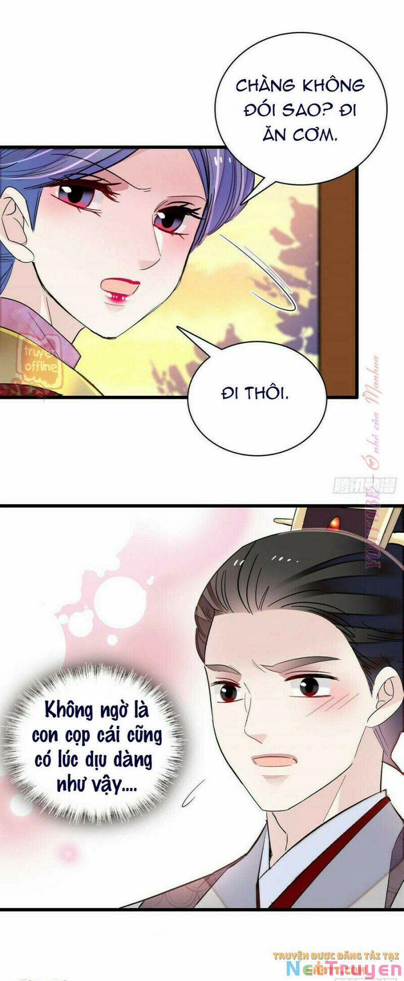 Tự Cẩm 204 trang 11