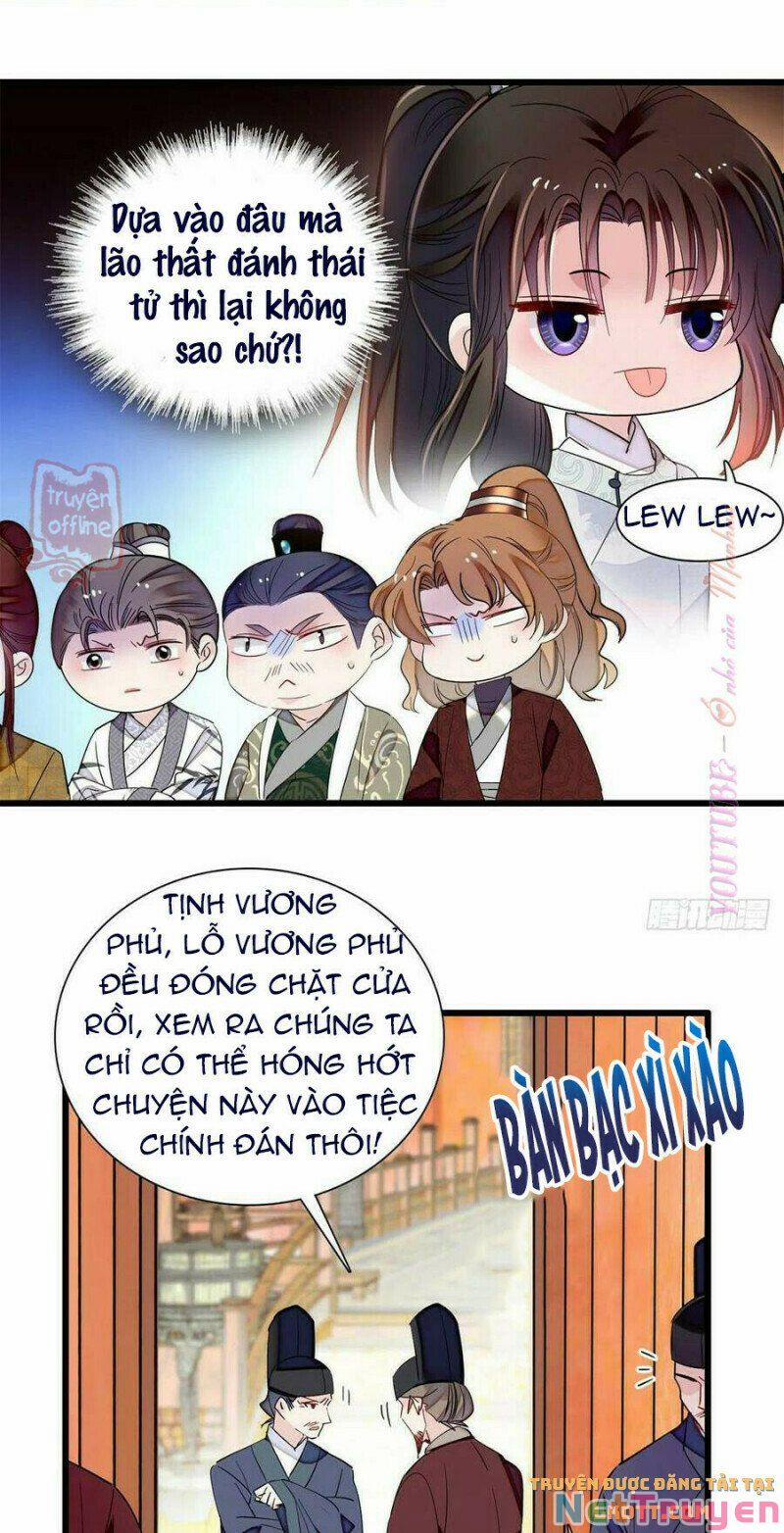 Tự Cẩm 204 trang 14
