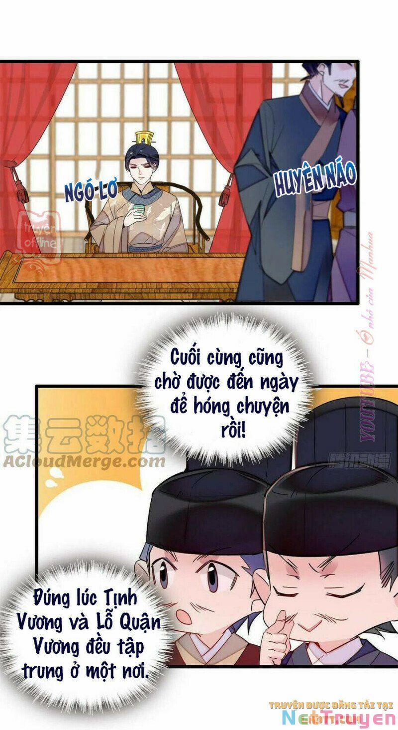 Tự Cẩm 204 trang 16