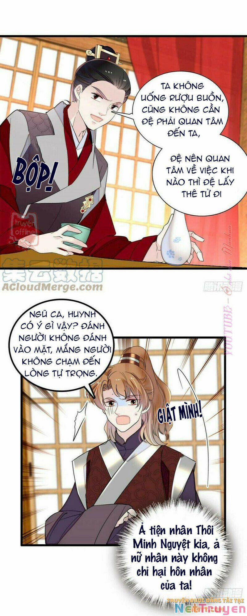 Tự Cẩm 204 trang 18