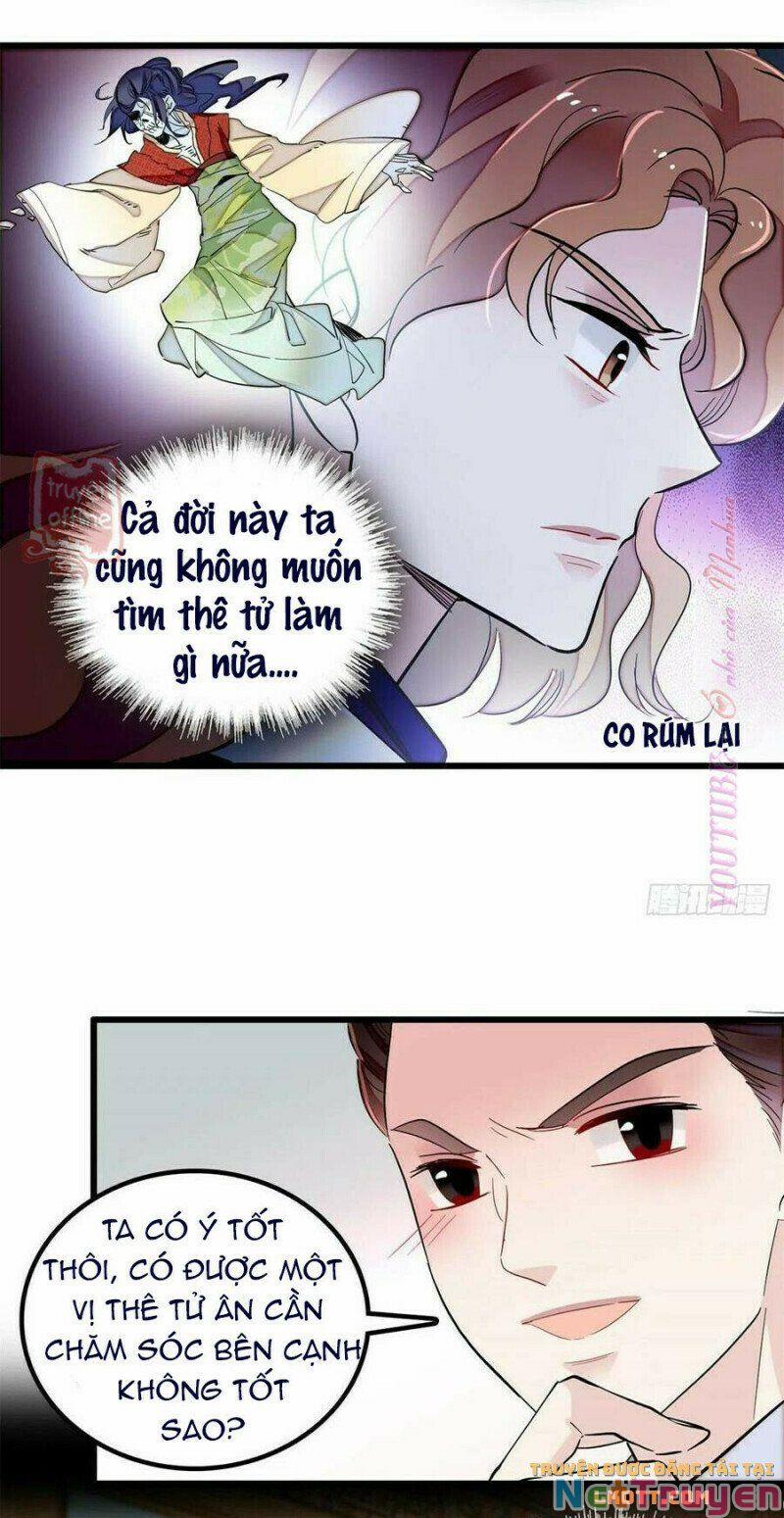 Tự Cẩm 204 trang 19