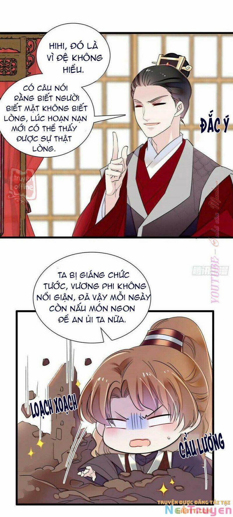 Tự Cẩm 204 trang 21