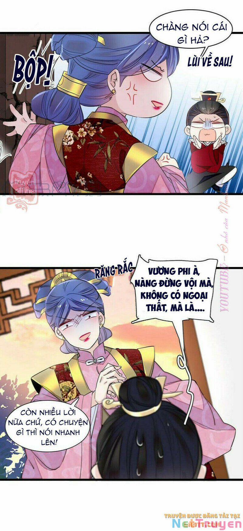 Tự Cẩm 204 trang 5