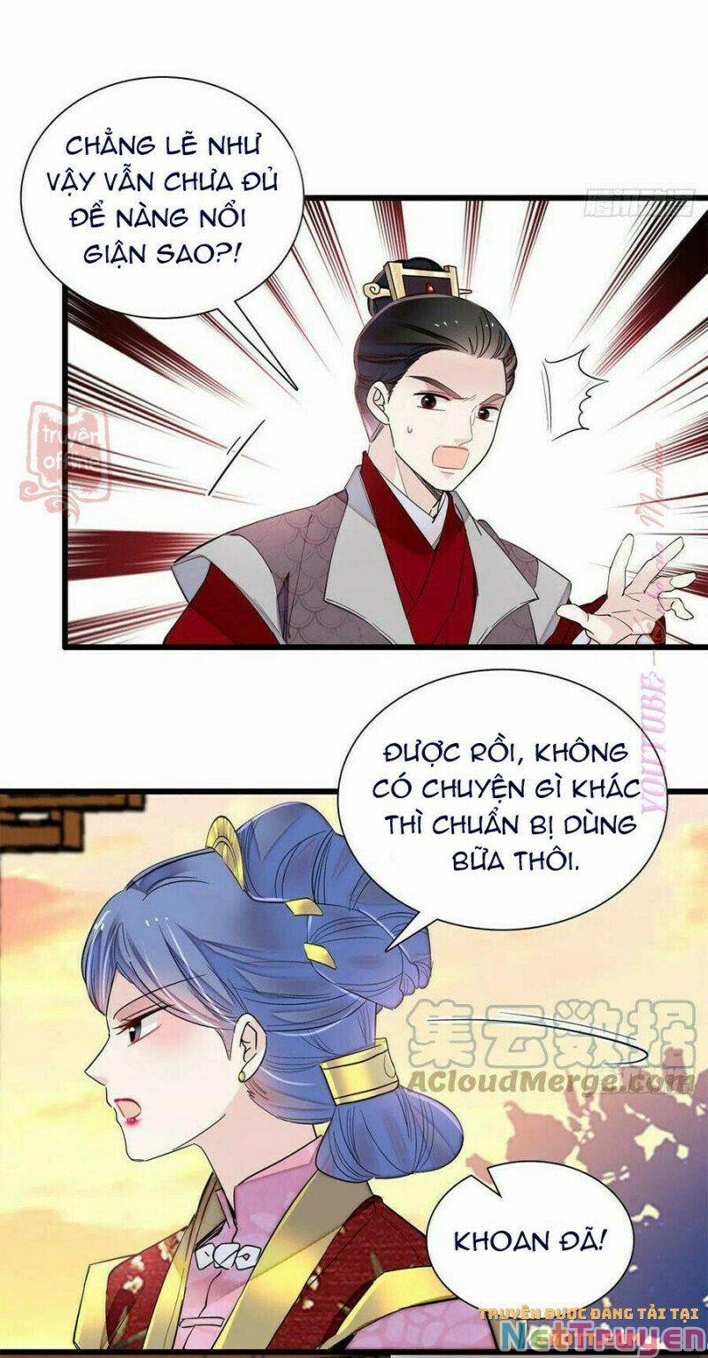 Tự Cẩm 204 trang 8