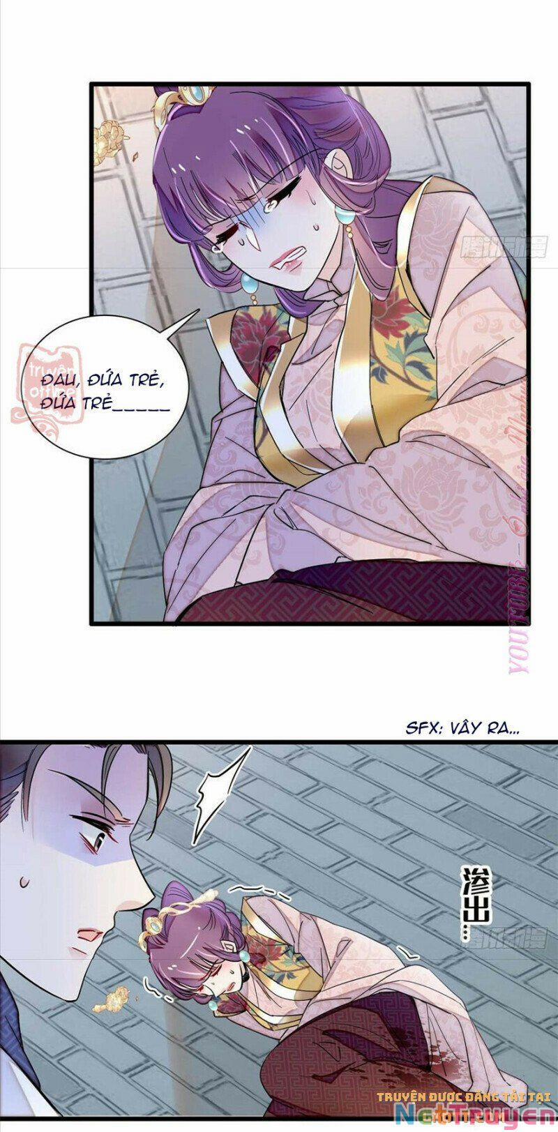Tự Cẩm 205 trang 14