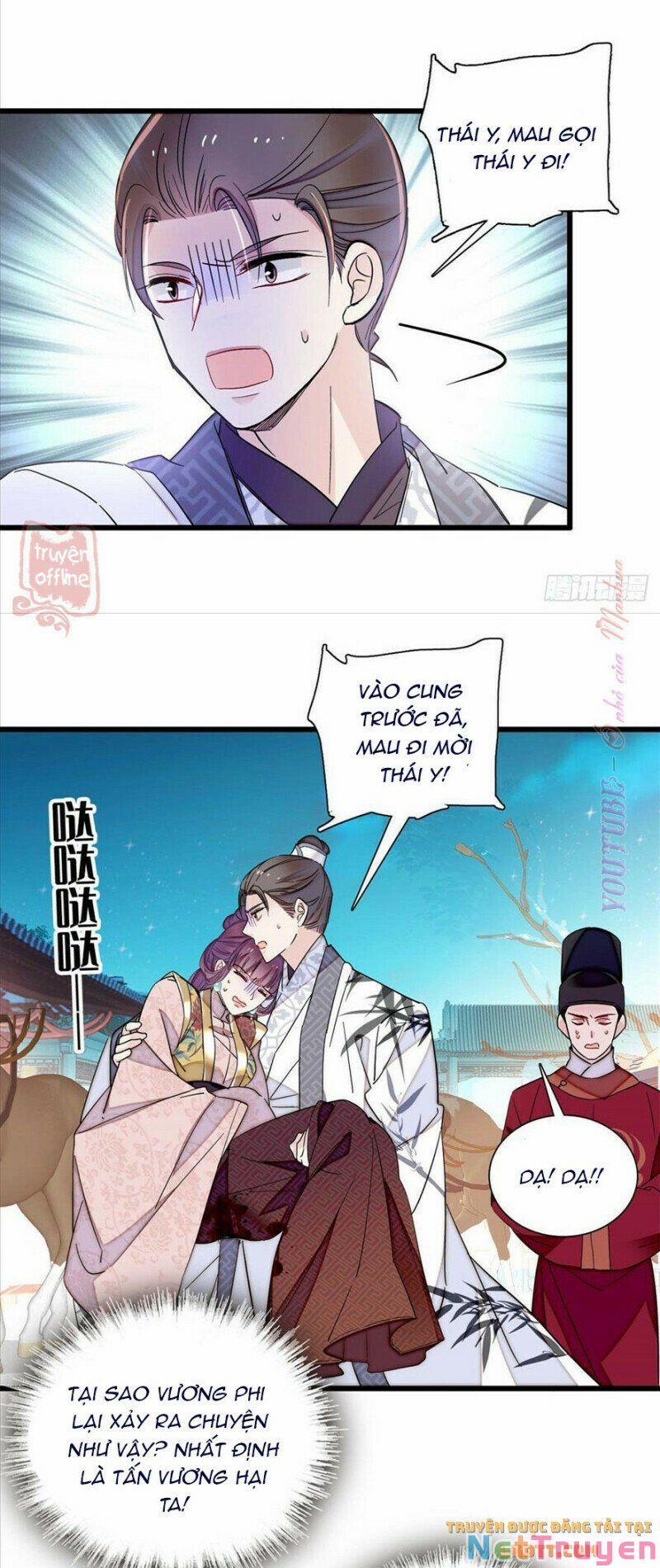 Tự Cẩm 205 trang 15