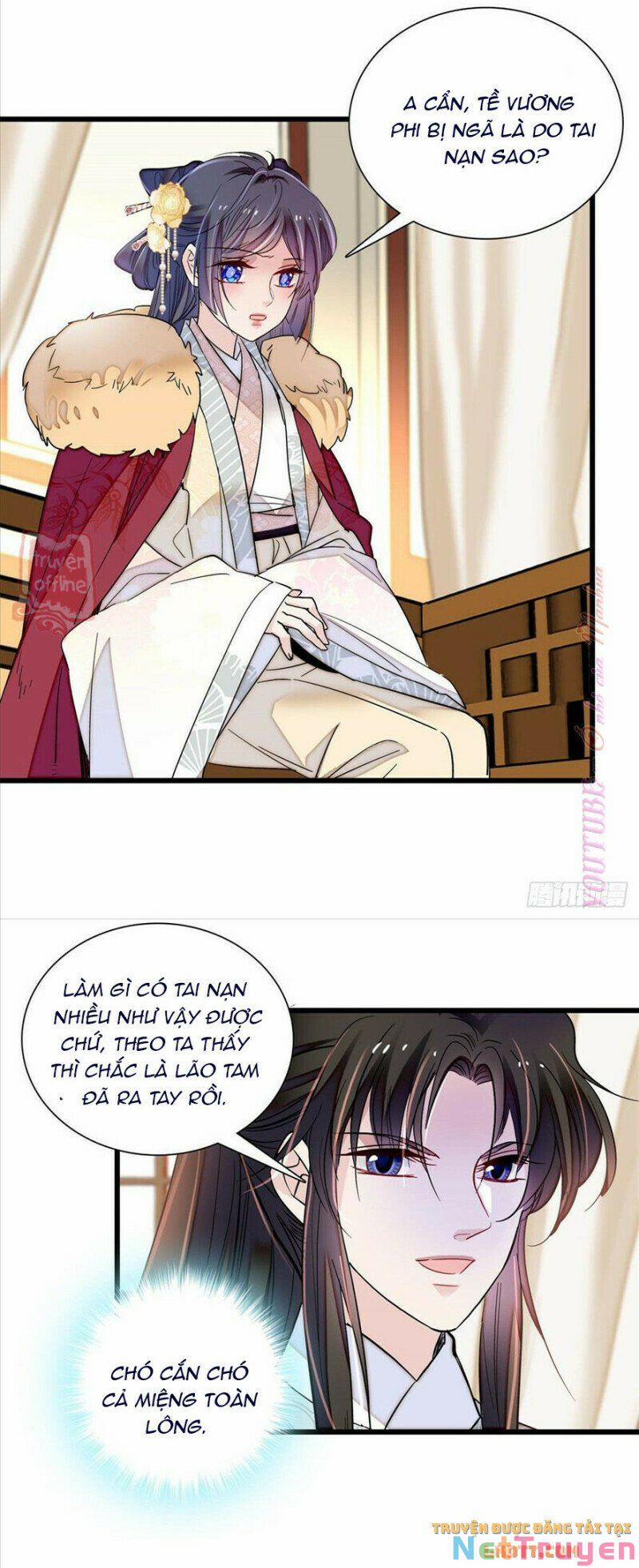 Tự Cẩm 205 trang 17