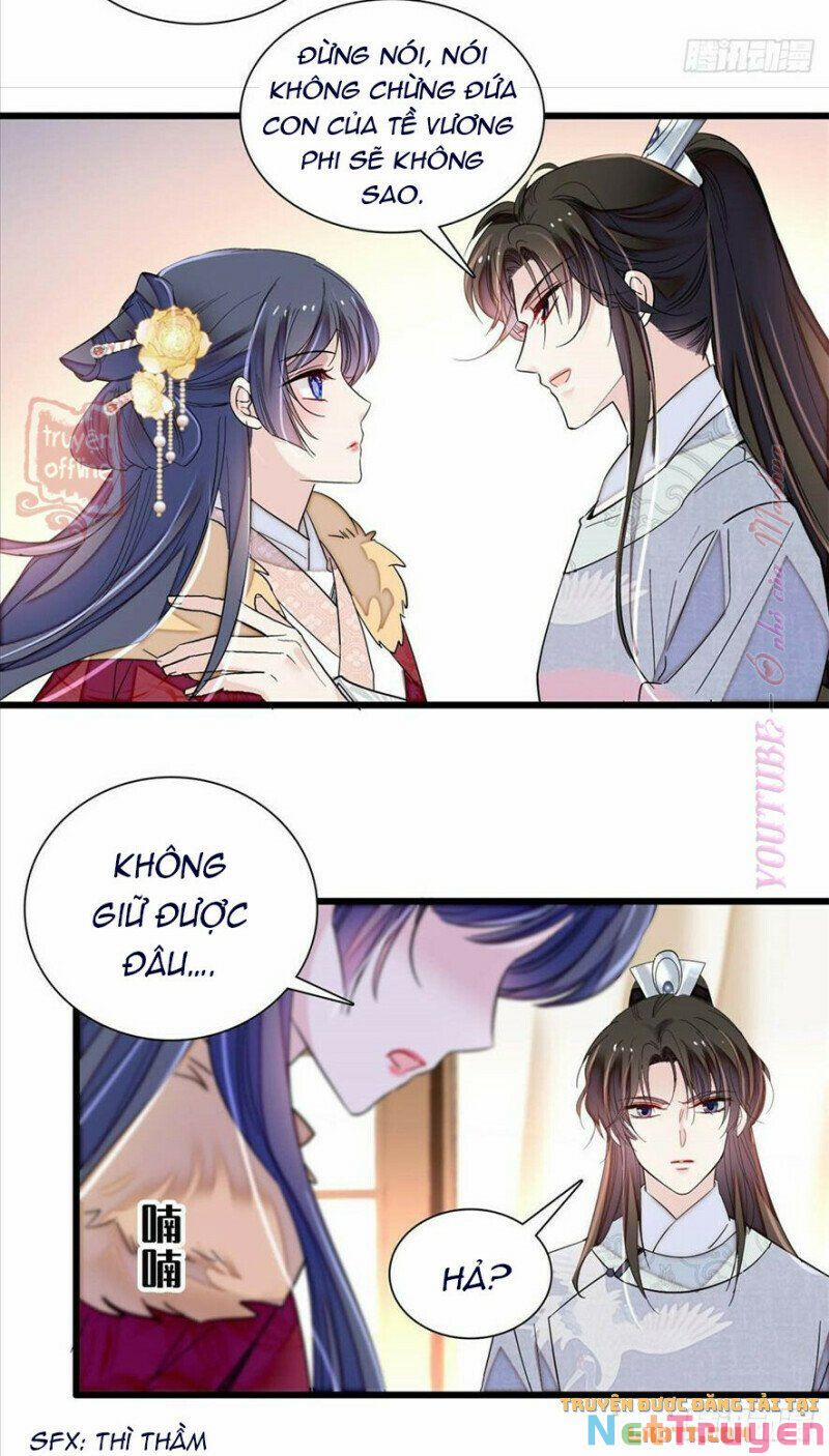 Tự Cẩm 205 trang 19