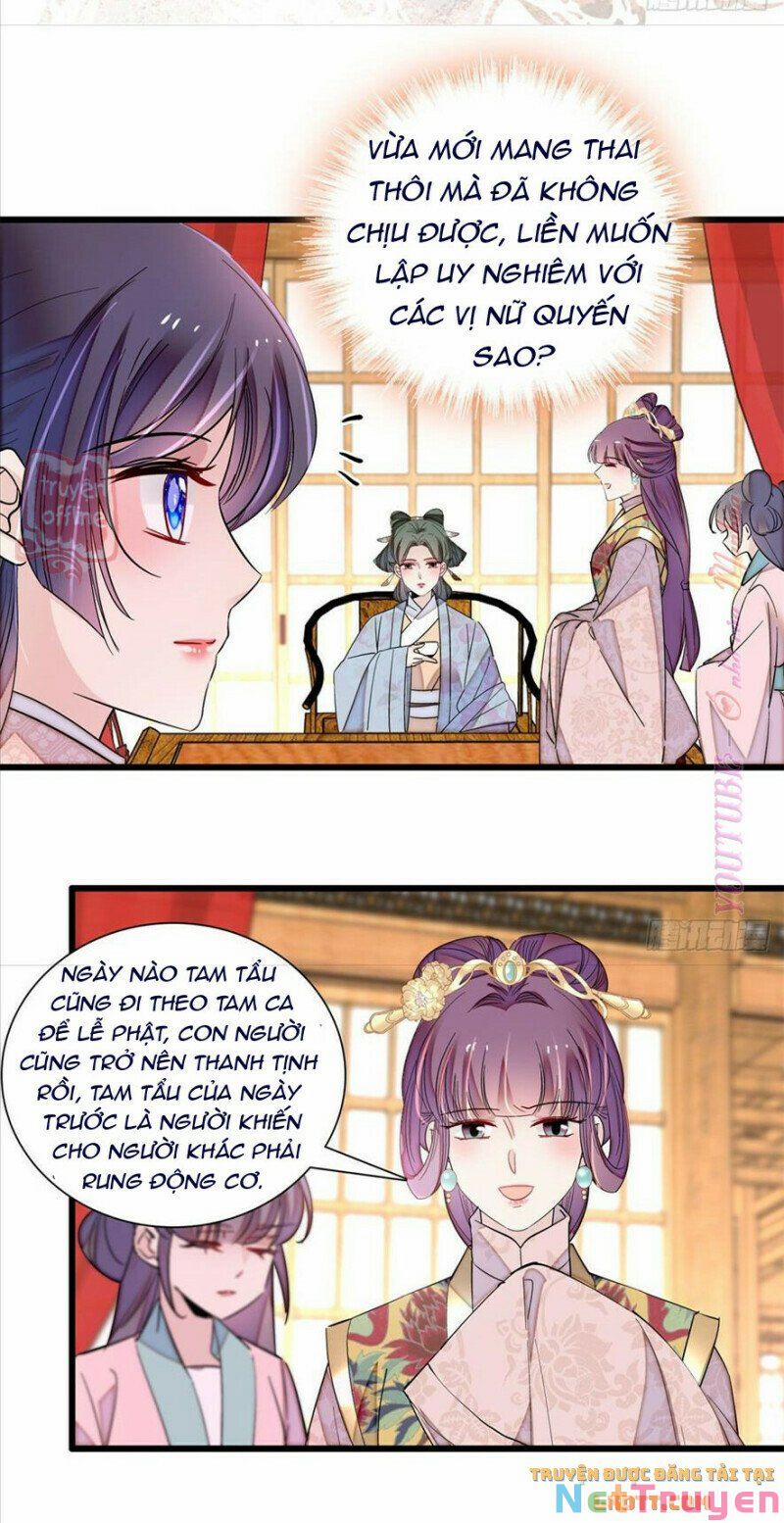 Tự Cẩm 205 trang 2