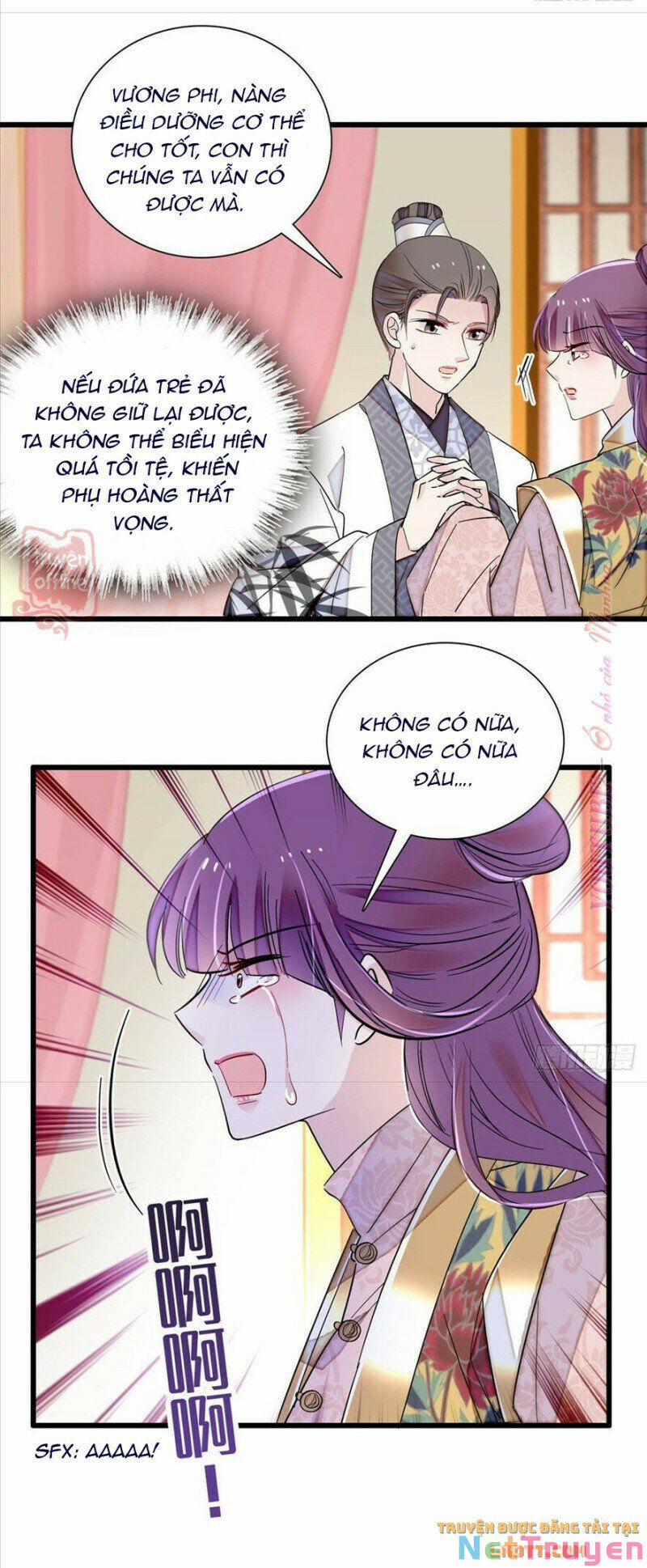 Tự Cẩm 205 trang 24