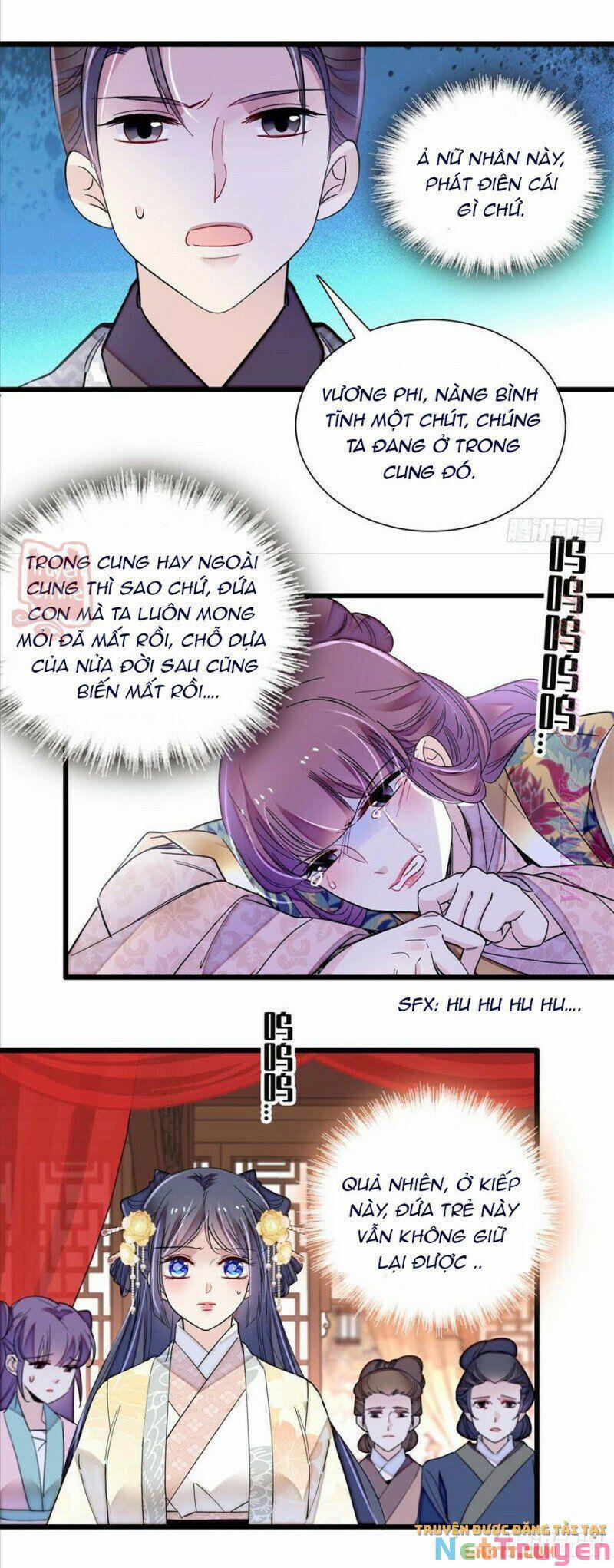 Tự Cẩm 205 trang 25