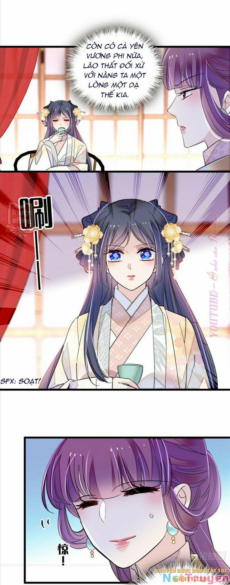 Tự Cẩm 205 trang 6