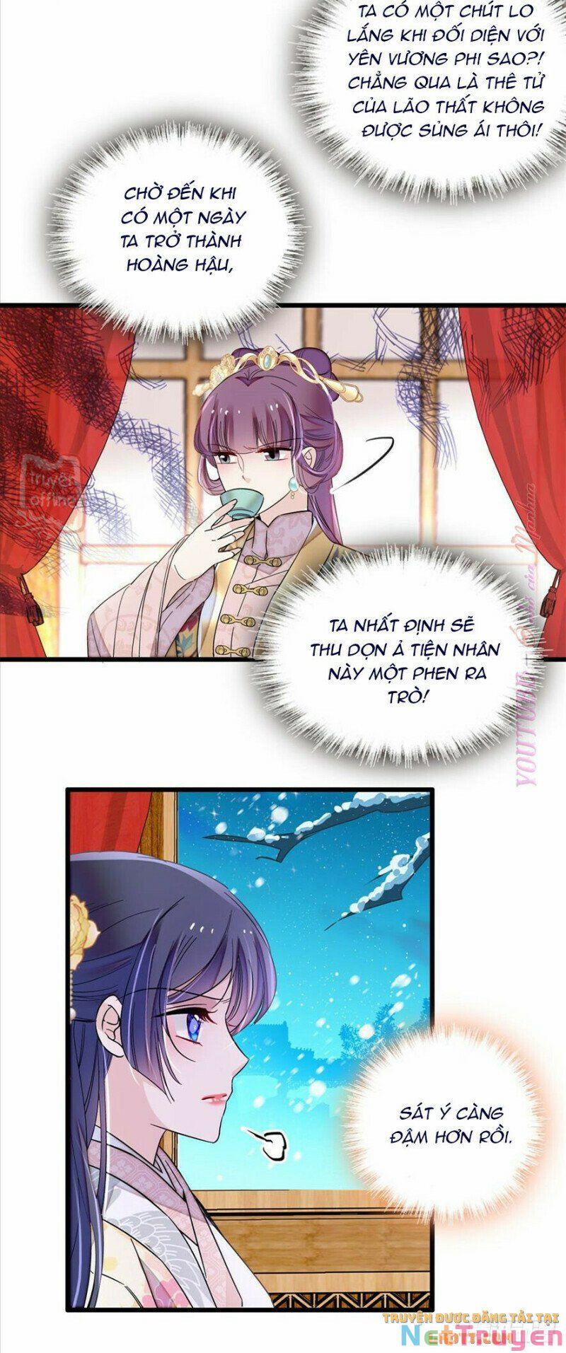 Tự Cẩm 205 trang 7