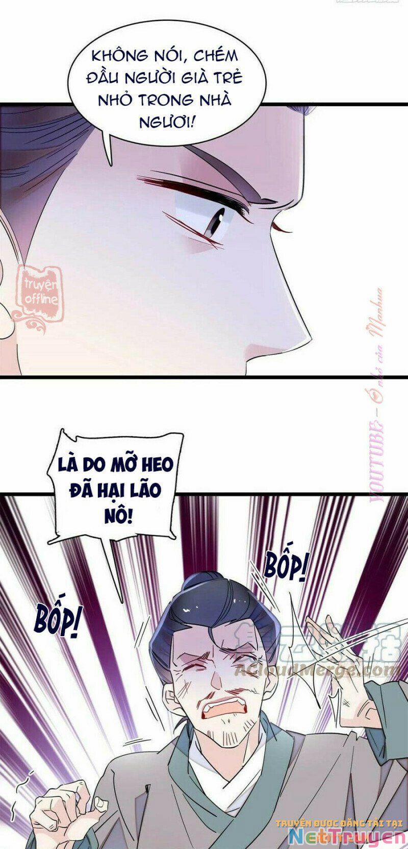 Tự Cẩm 206 trang 10