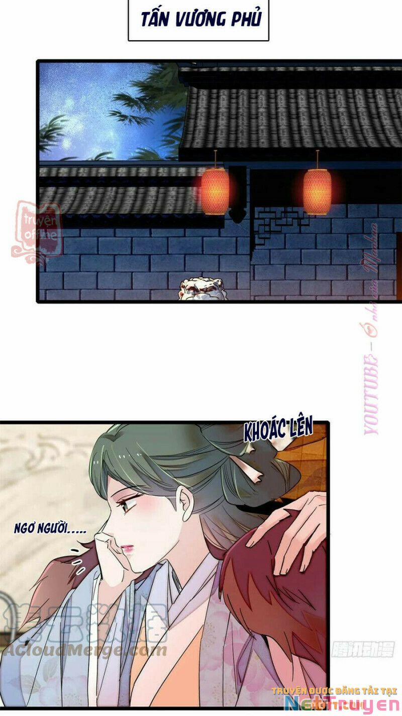 Tự Cẩm 206 trang 14