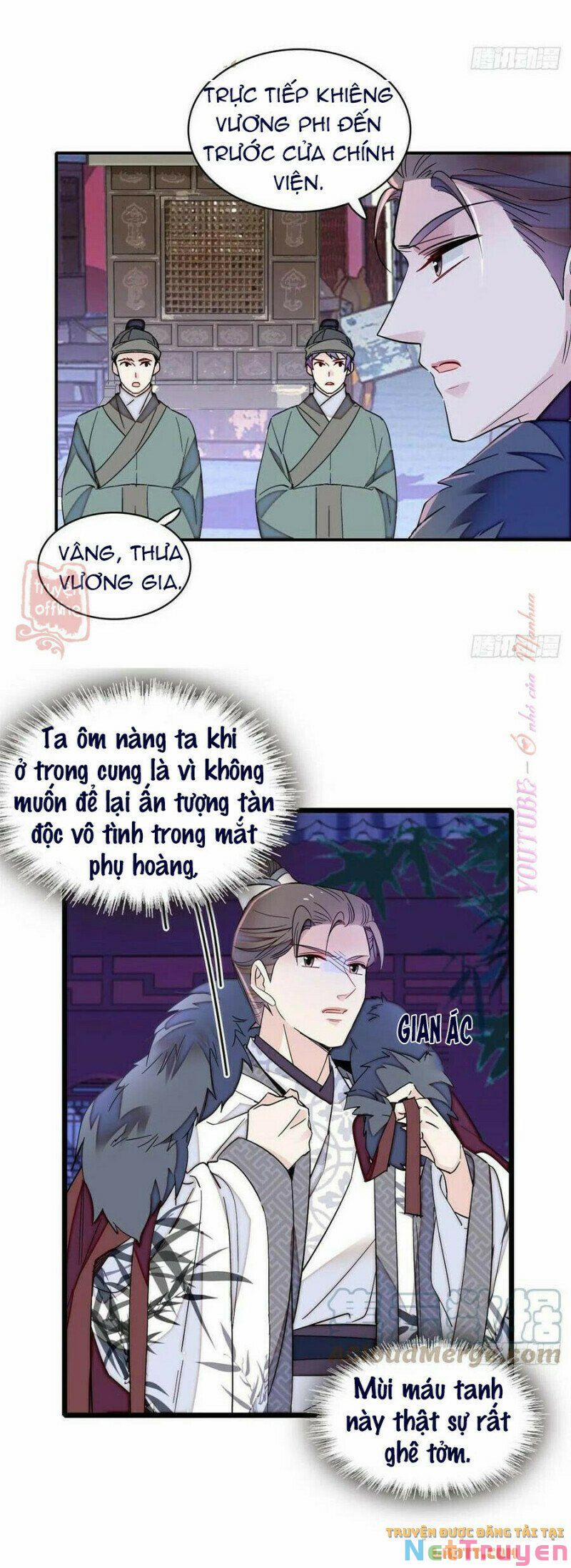 Tự Cẩm 206 trang 2