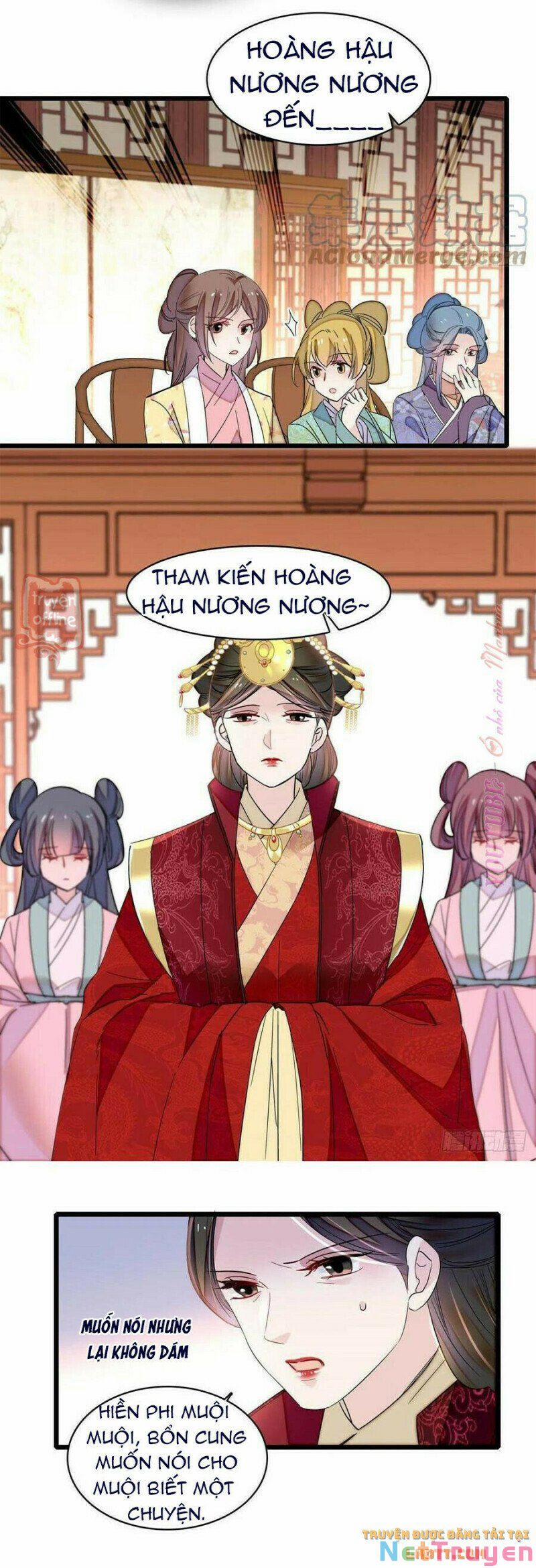 Tự Cẩm 206 trang 21