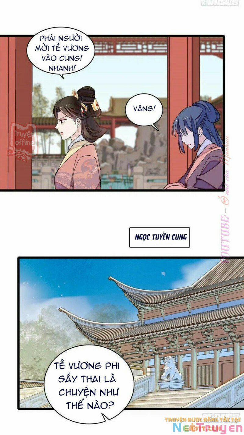 Tự Cẩm 206 trang 24