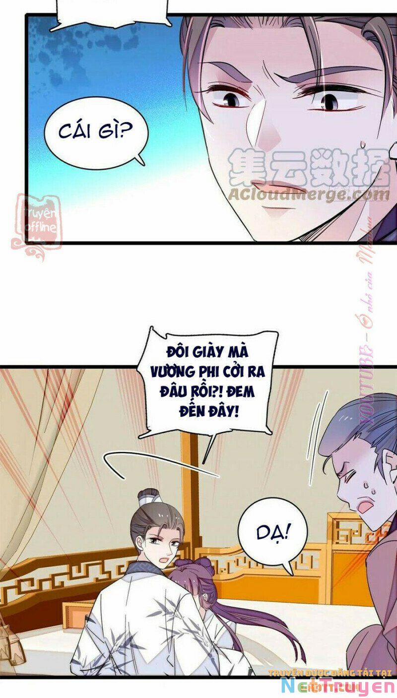 Tự Cẩm 206 trang 5