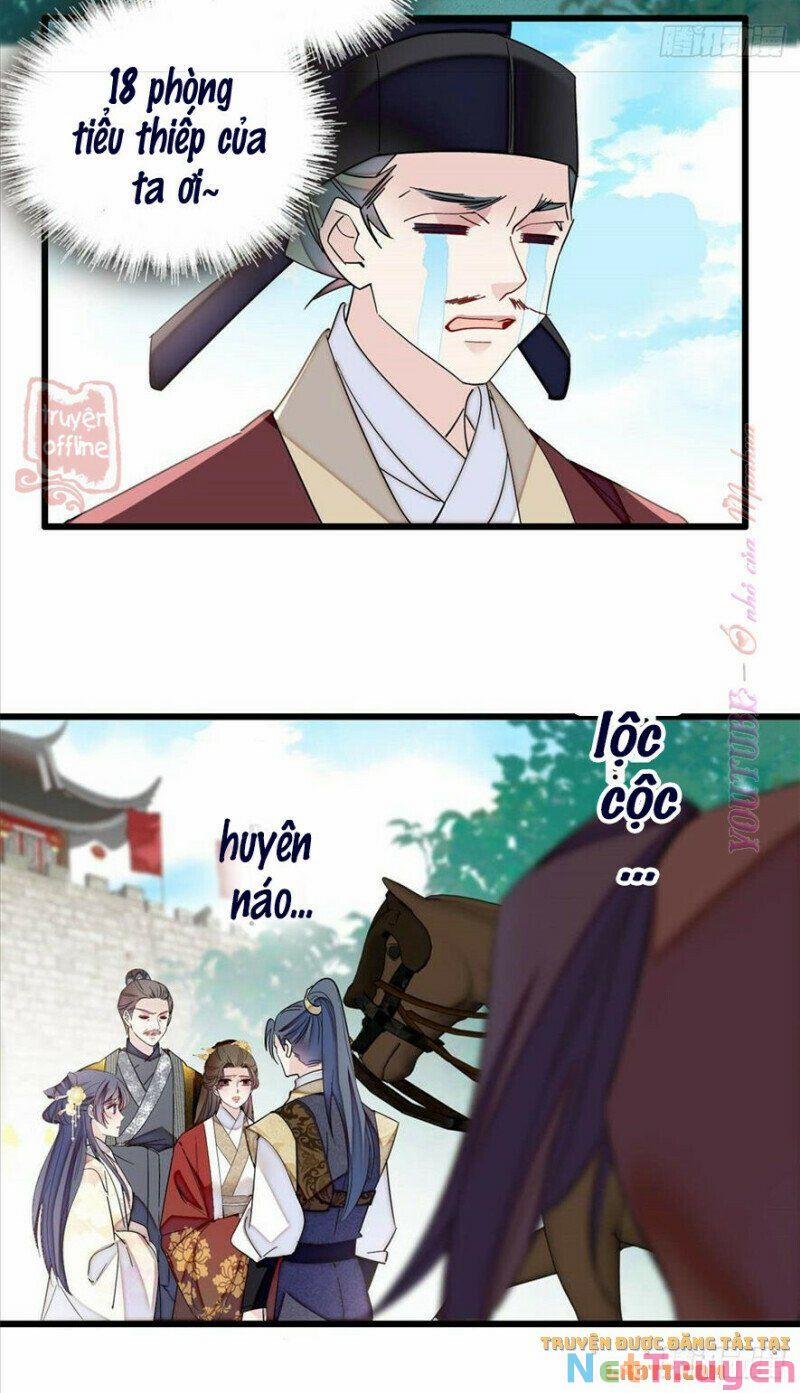 Tự Cẩm 207 trang 13