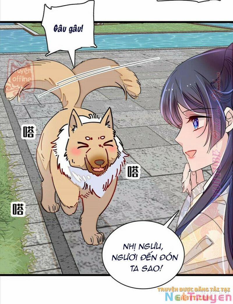 Tự Cẩm 207 trang 19
