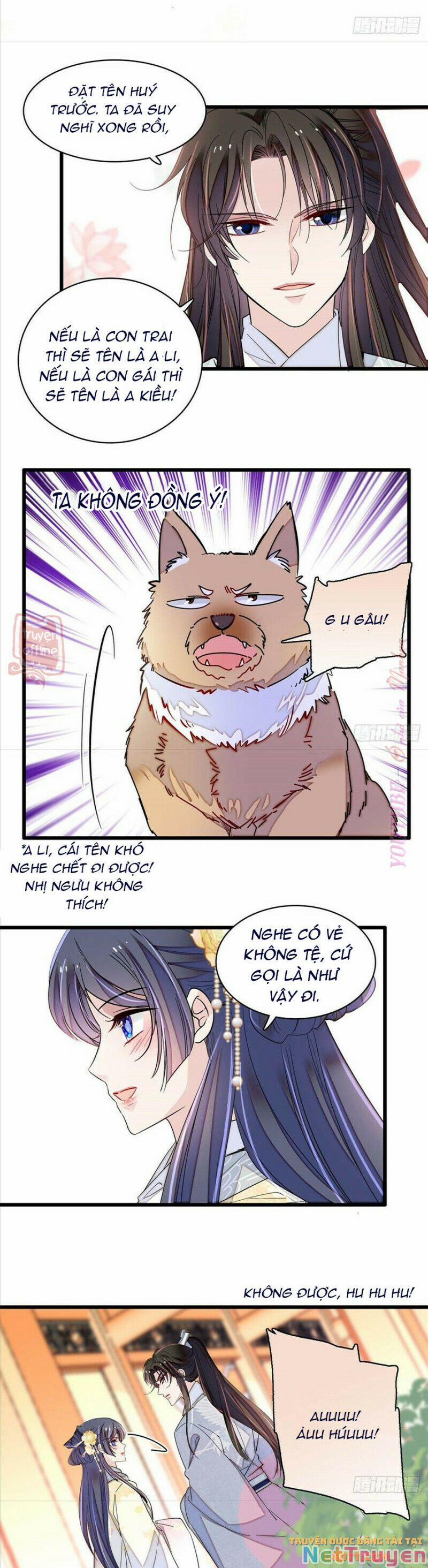 Tự Cẩm 207 trang 21