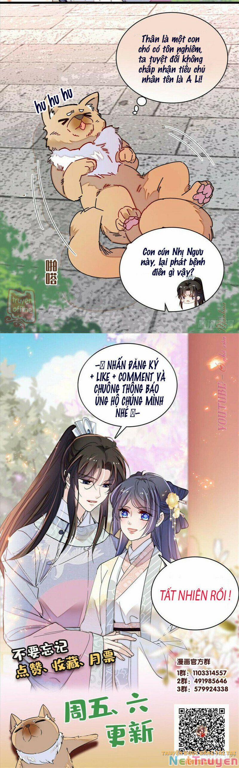 Tự Cẩm 207 trang 22