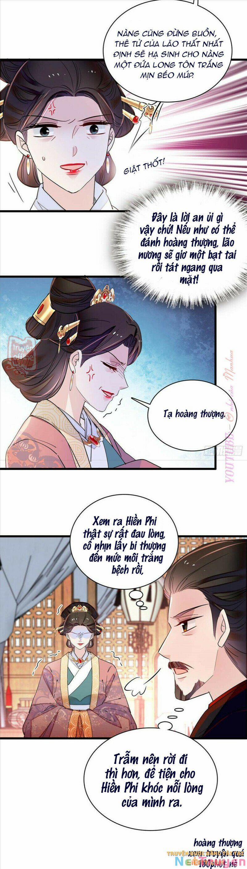 Tự Cẩm 207 trang 7