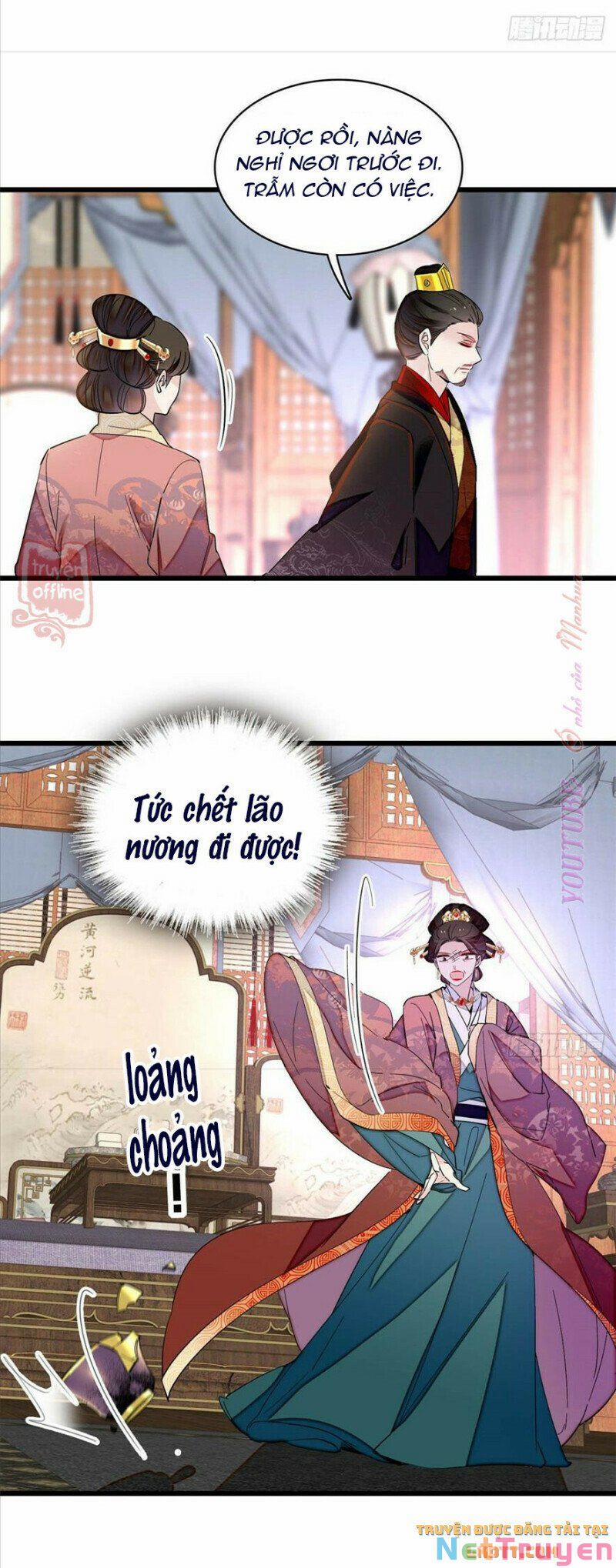 Tự Cẩm 207 trang 8