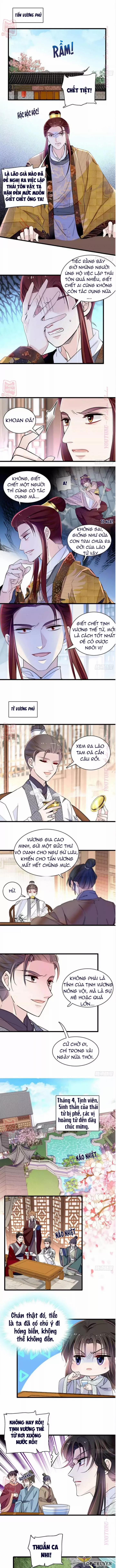 Tự Cẩm 208 trang 3