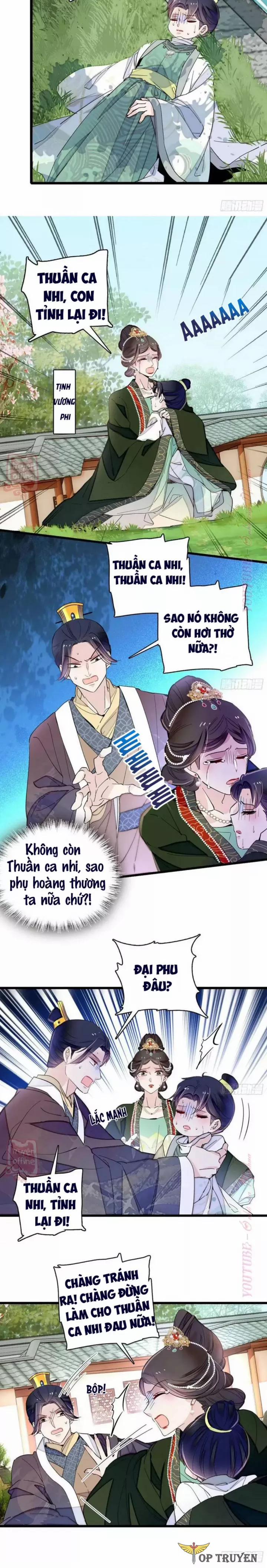 Tự Cẩm 208 trang 4