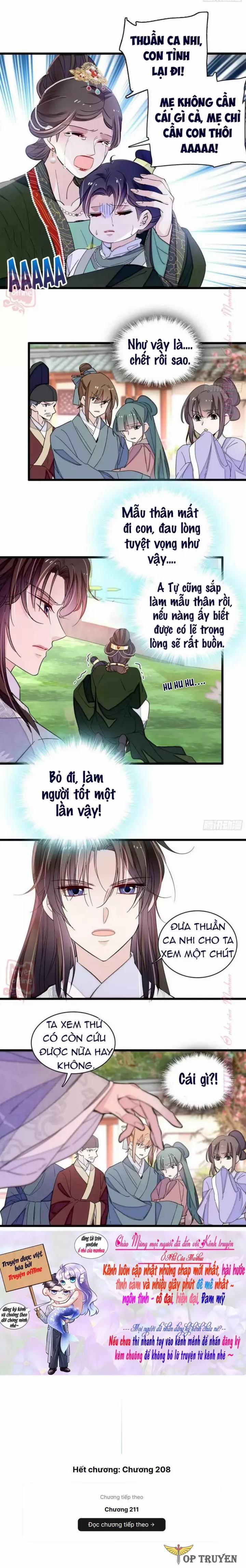 Tự Cẩm 208 trang 5