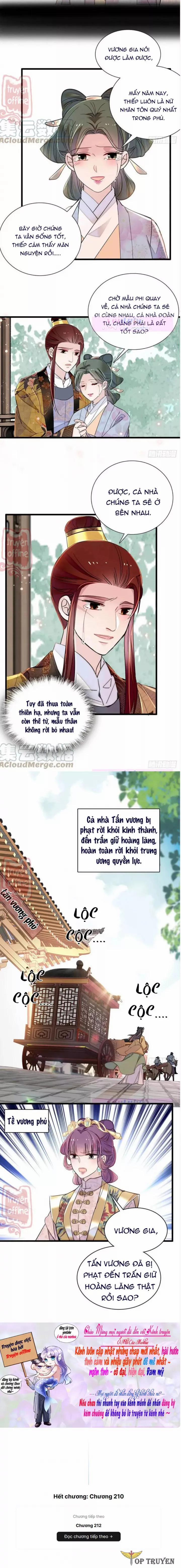 Tự Cẩm 210 trang 5