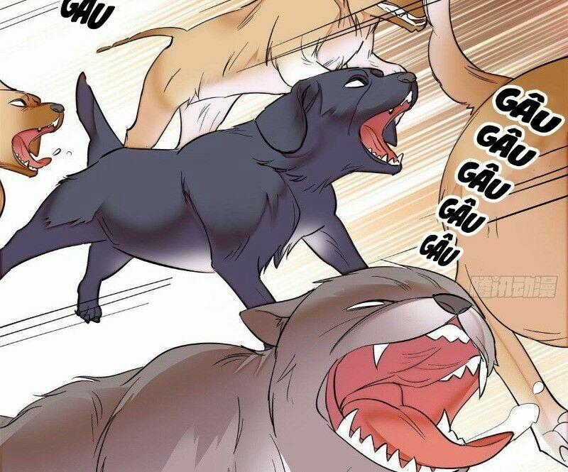 Tự Cẩm 23 trang 70