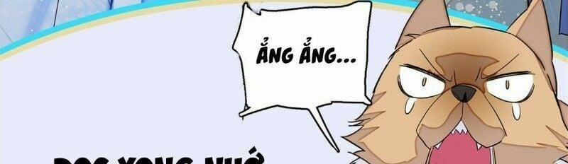 Tự Cẩm 23 trang 78