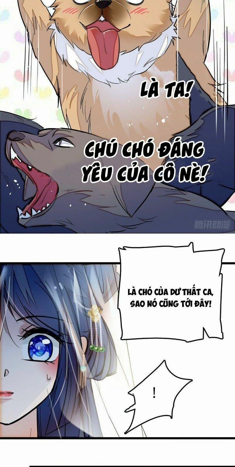 Tự Cẩm 24 trang 14