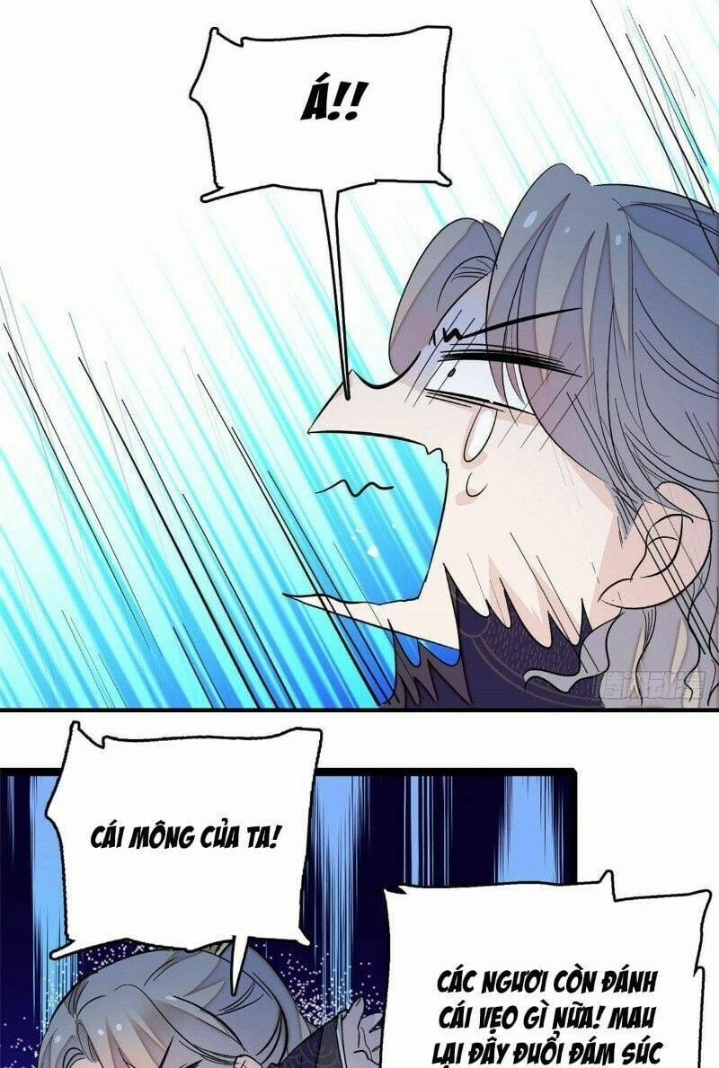 Tự Cẩm 24 trang 8