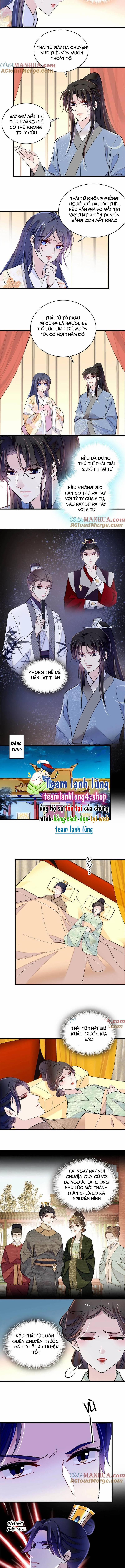 Tự Cẩm 245 trang 3