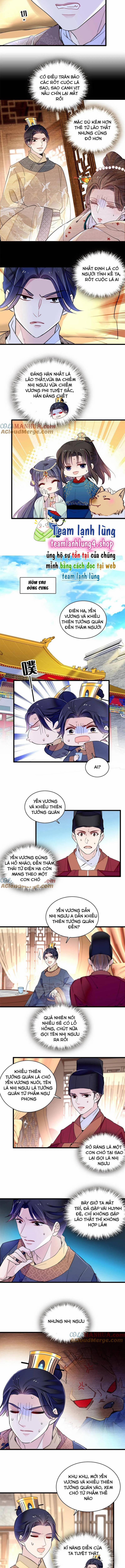 Tự Cẩm 246 trang 1