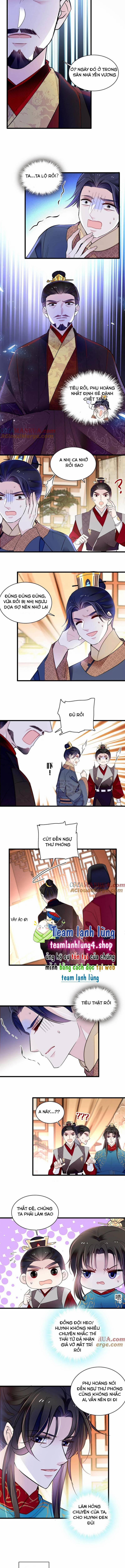 Tự Cẩm 247 trang 1