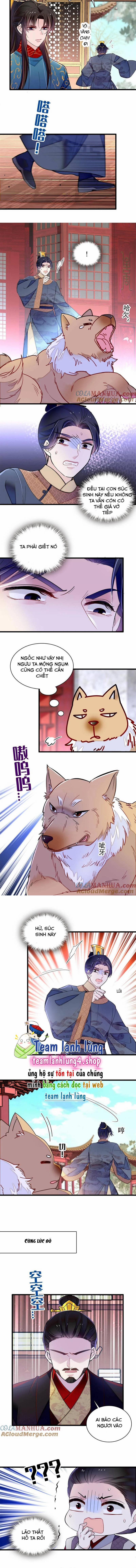 Tự Cẩm 247 trang 4