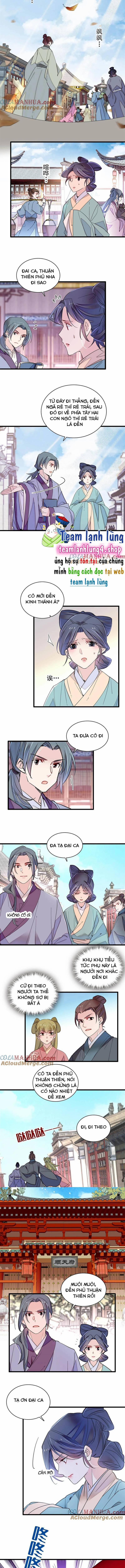 Tự Cẩm 249 trang 3