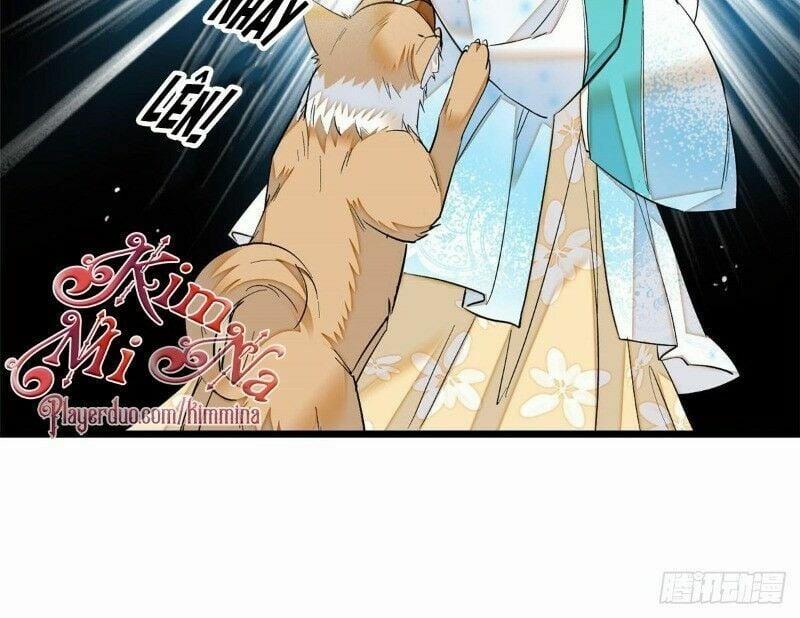 Tự Cẩm 25 trang 19