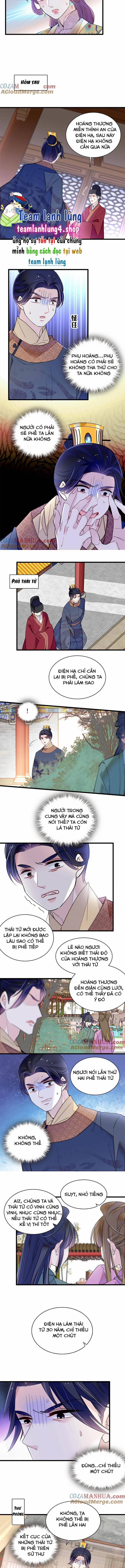 Tự Cẩm 253 trang 3