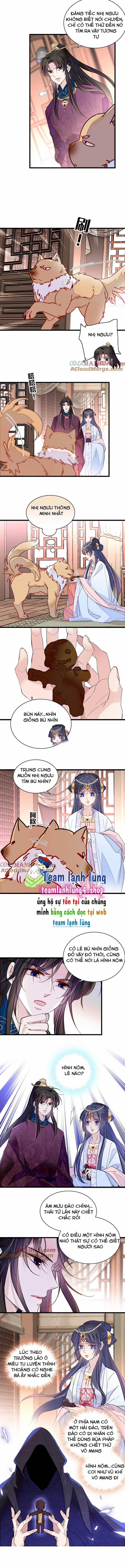 Tự Cẩm 258 trang 4