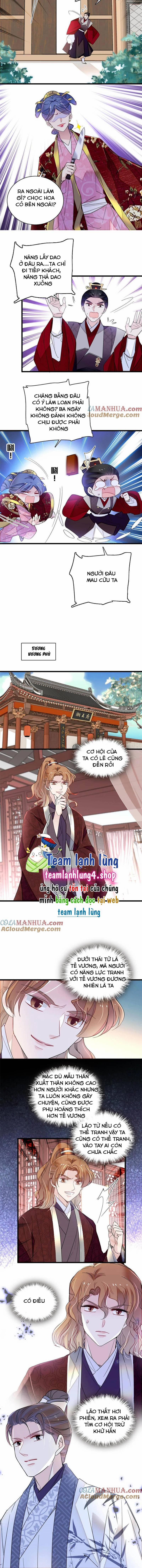 Tự Cẩm 259 trang 4