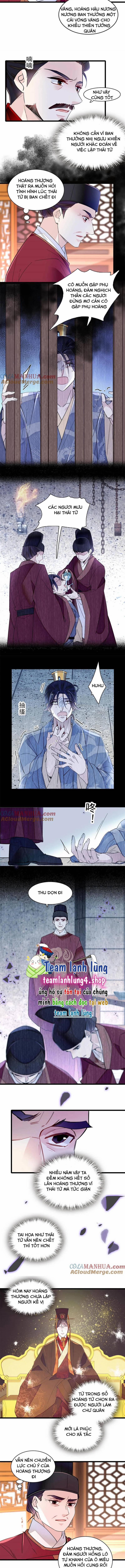 Tự Cẩm 260 trang 3