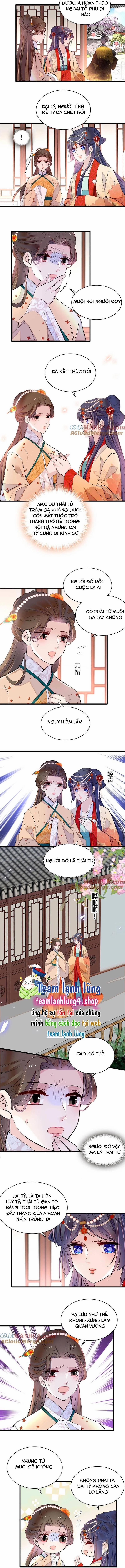 Tự Cẩm 261 trang 1