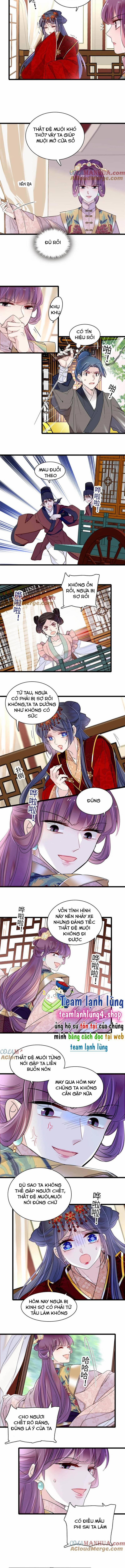 Tự Cẩm 270 trang 4