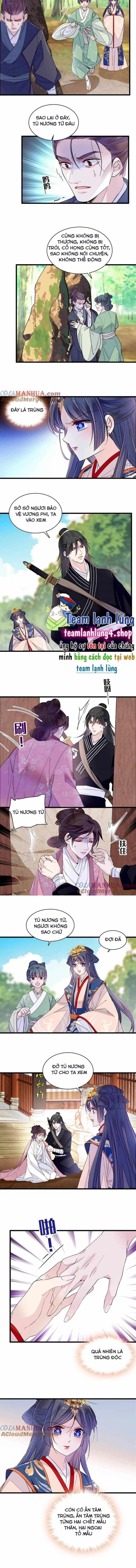 Tự Cẩm 277 trang 4